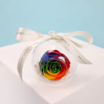 Preserved Rainbow Rose Orb  - Standard