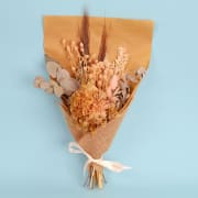 Peach Dried Bunch - Standard