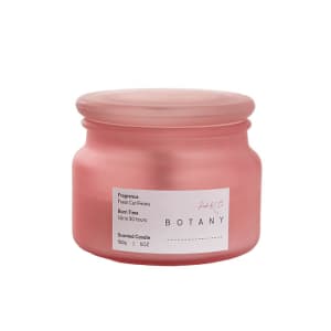 Botany Jar Fresh Cut Peony - Standard