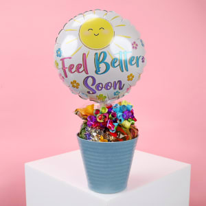 Get Well Lolly Pot  - Standard