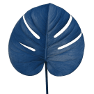 Monsteria Leaf - Blue