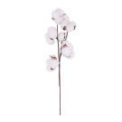 Designer Cotton - White