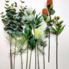 Mixed Native Foliage