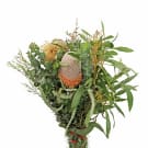 Native Bunch