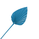 Preserved Dried Heart Palm - Blue