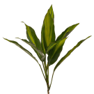 Trop Top - Green