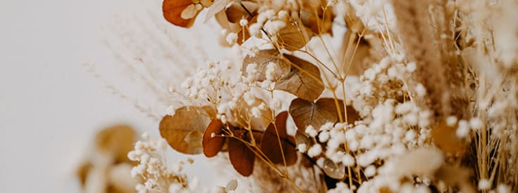 dried flowers