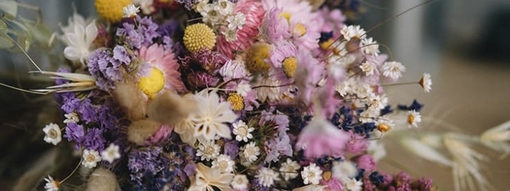 dried field flowers