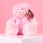 Frankie Pink  Bear