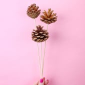 Metallic Trio Pine Cone Picks 