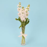 Stock Serenade Bud Vase  - Standard