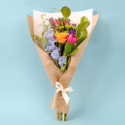 Enchanted Dreamscape - Standard