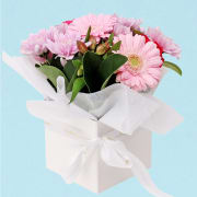 Mums Day Pink Florist Choice  - Deluxe