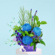 Blue Heaven  - Standard
