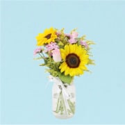 Pocket Full Of Pink Sunshine  - Standard