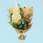 Soft-Hued Natives - Standard