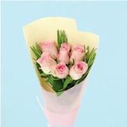 Pale Pink Roses  - Standard