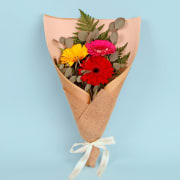 Gerbera Gems Posy  - Premium