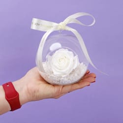 Preserved White Rose Orb - Standard