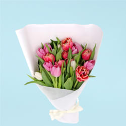 Mixed Pastels Tulip Bunch  - Deluxe