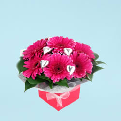 Gerbera And Chocolate Box  - Standard