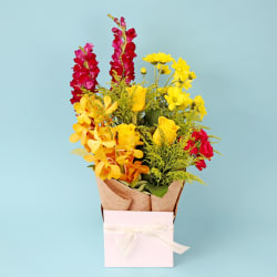 Colourburst Bloombox  - Deluxe