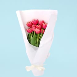 Pink Tulip Bunch  - Standard