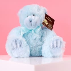 Frankie Blue Bear - Standard