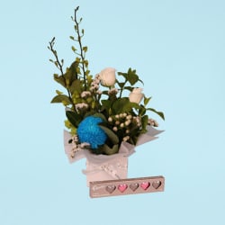 Sapphire Bloombox - Standard