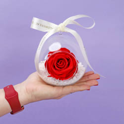 Preserved Red Rose Orb - Standard