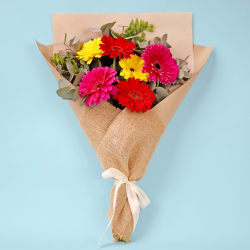 Gerbera Gems Posy  - Deluxe