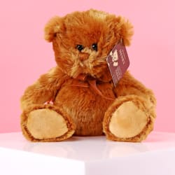 Traditional Henry Bear - Standard