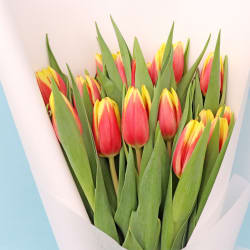 Tulip Bouquet  - Deluxe