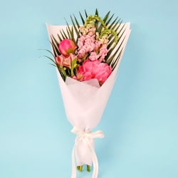 Perky Pink Peonies - Standard