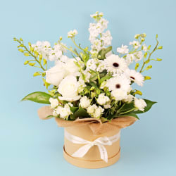 Paw-Approved White Blossoms  - Standard