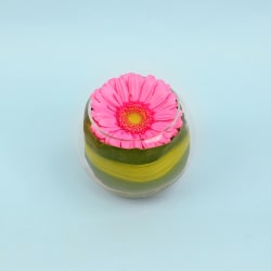 Gerbera Bowl - Standard