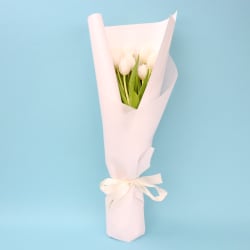 Tulip Bouquet  - Standard