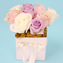 Little Rose Flower Box - Standard