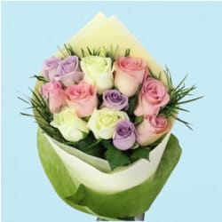  Pastel Roses  - 12 Roses (One Dozen)