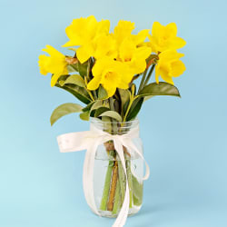 Daffodils In A Vase  - Standard