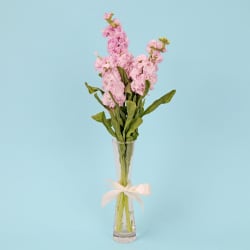 Stock Serenade Bud Vase  - Standard