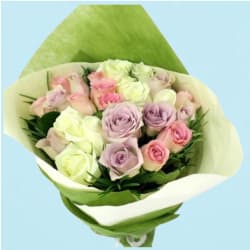  Pastel Roses  - 24 Roses (Two Dozen)