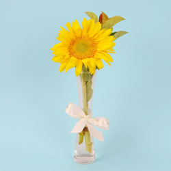 Sunny Skies Bud Vase  - Standard