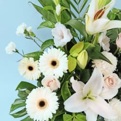 Tranquil Reflections Arrangement  - Standard