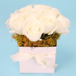 Little Rose Flower Box - Standard