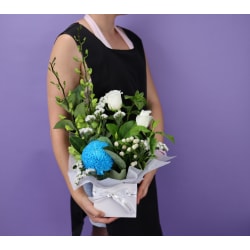 Sapphire Bloombox - Standard