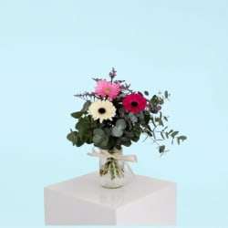 Mini Gerbera Blossoms  - Standard