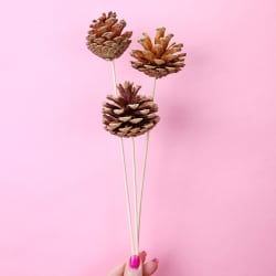 Metallic Trio Pine Cone Picks  - Standard