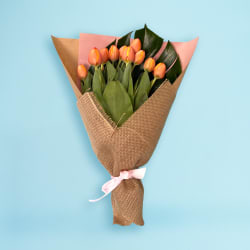 Orange Tulips - Standard