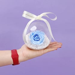 Preserved Orb - Standard